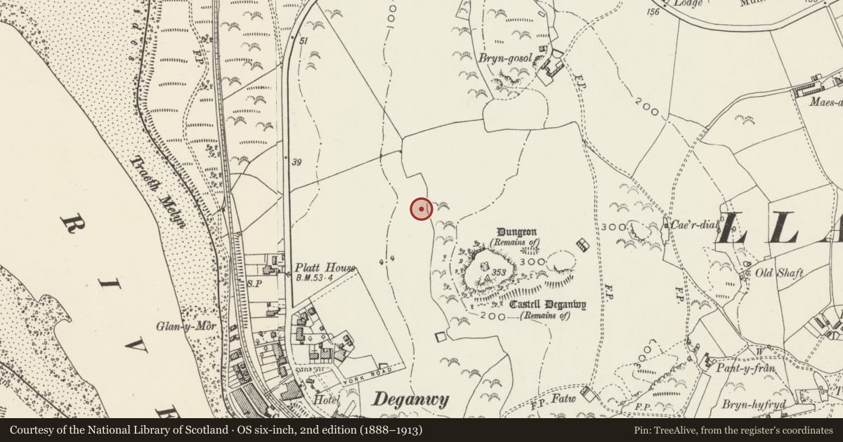 Ordnance Survey six-inch map, 2nd edition (1888–1913) covering the location of Coed y Castell, Conwy, with a pin at the register's coordinates