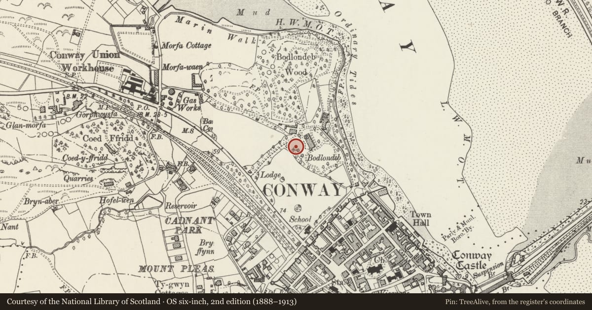 Ordnance Survey six-inch map, 2nd edition (1888–1913) covering the location of Conwy war memorial, with a pin at the register's coordinates