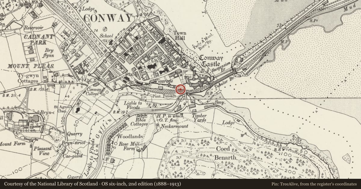 Ordnance Survey six-inch map, 2nd edition (1888–1913) covering the location of Crane in former railway yard E of Conwy station, with a pin at the register's coordinates