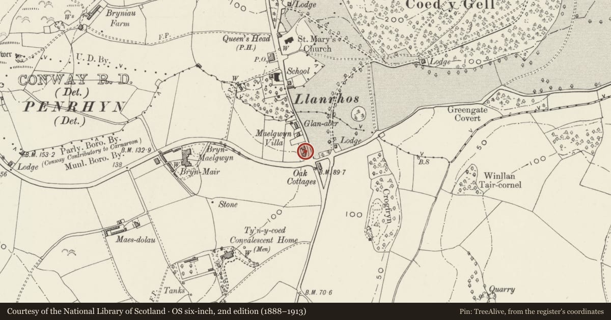 Ordnance Survey six-inch map, 2nd edition (1888–1913) covering the location of Edenhurst, Conwy, with a pin at the register's coordinates