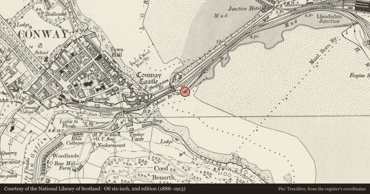 Ordnance Survey six-inch map, 2nd edition (1888–1913) covering the location of Island Quay (Cei Ynys), Conwy, with a pin at the register's coordinates