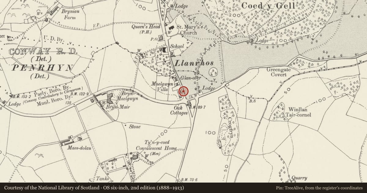 Ordnance Survey six-inch map, 2nd edition (1888–1913) covering the location of Gate at entrance to Woodville, Conwy, with a pin at the register's coordinates