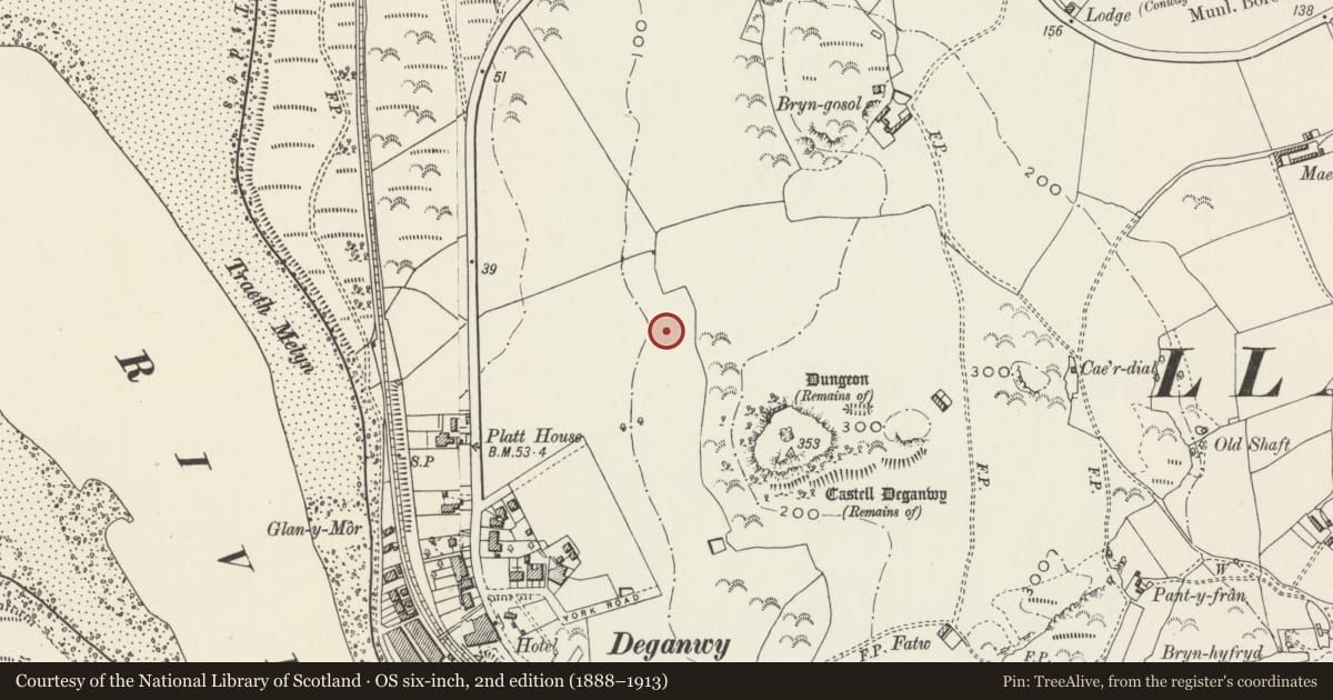 Ordnance Survey six-inch map, 2nd edition (1888–1913) covering the location of Gates & gate piers at entrance to Coed y Castell, Conwy, with a pin at the register's coordinates