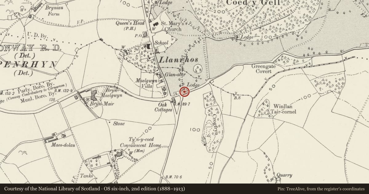 Ordnance Survey six-inch map, 2nd edition (1888–1913) covering the location of Gates, gate piers, walls and forecourt balustrade at Conway Lodge, Conwy, with a pin at the register's coordinates