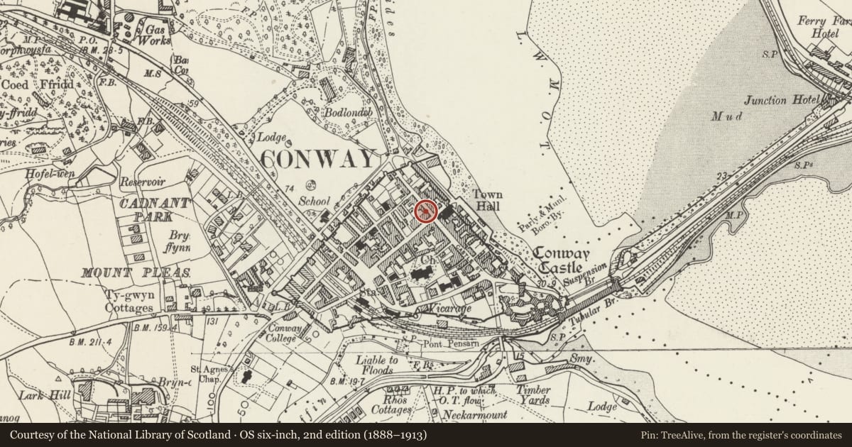 Ordnance Survey six-inch map, 2nd edition (1888–1913) covering the location of Old Youth Club, Conwy, with a pin at the register's coordinates