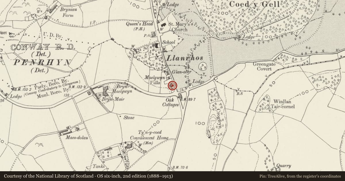 Ordnance Survey six-inch map, 2nd edition (1888–1913) covering the location of Woodville, Conwy, with a pin at the register's coordinates