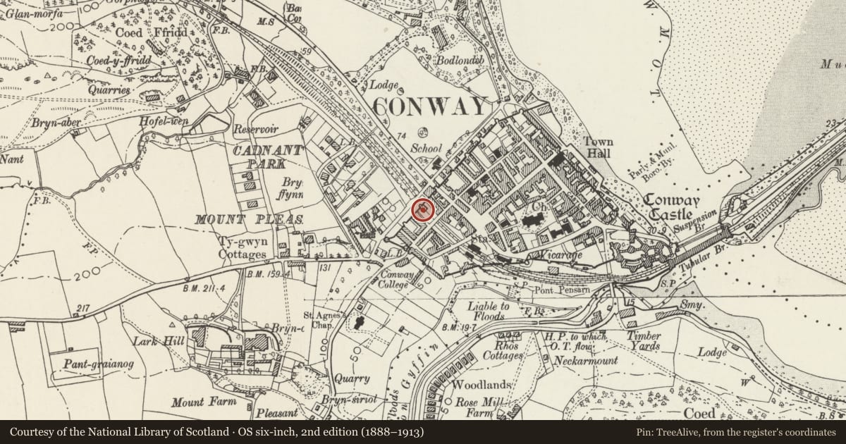 Ordnance Survey six-inch map, 2nd edition (1888–1913) covering the location of Woodville, Conwy, with a pin at the register's coordinates