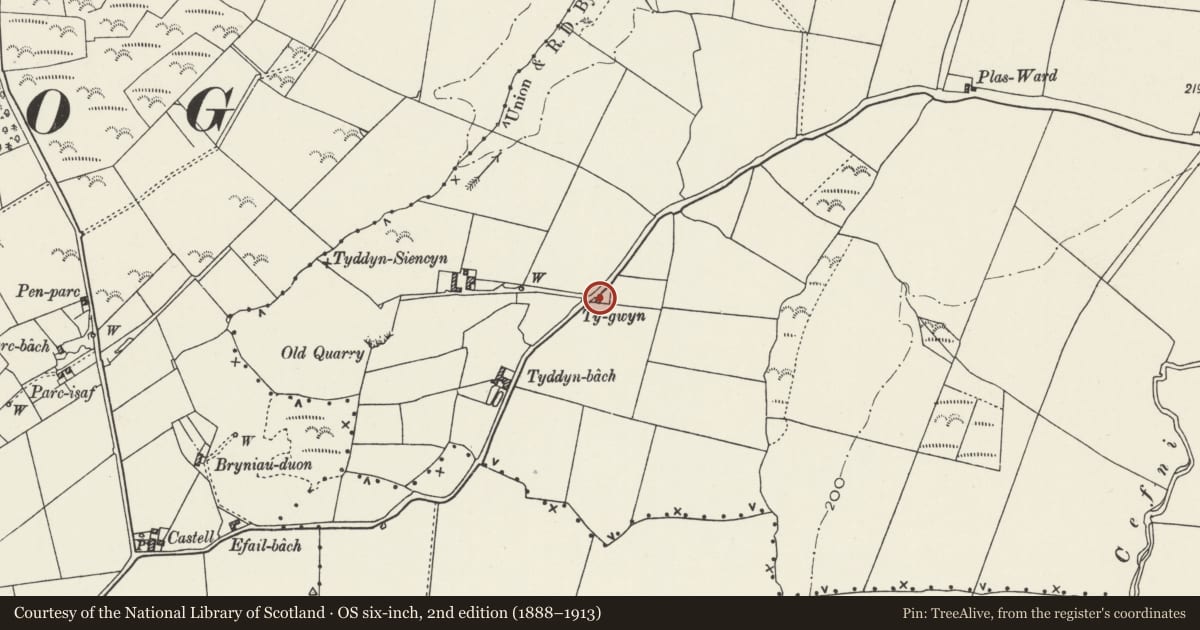 Ordnance Survey six-inch map, 2nd edition (1888–1913) covering the location of Ty Gwyn, Llanddyfnan, Isle of Anglesey, with a pin at the register's coordinates