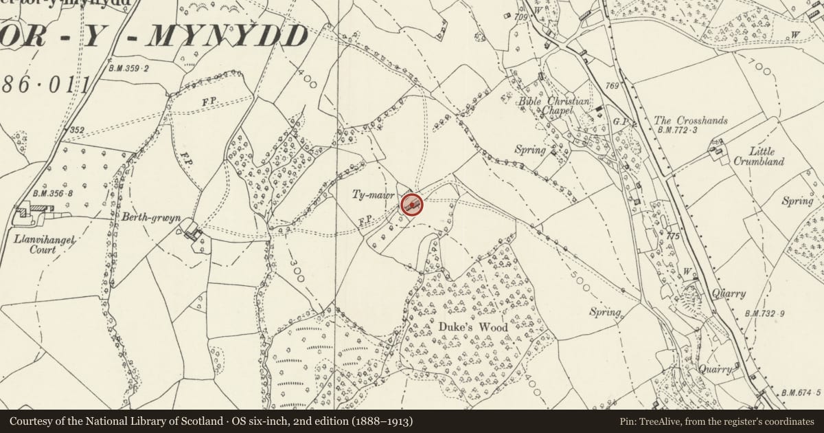Ordnance Survey six-inch map, 2nd edition (1888–1913) covering the location of Ty Mawr, Llanvihangel Tor-y-Mynydd, Devauden, Monmouthshire, with a pin at the register's coordinates
