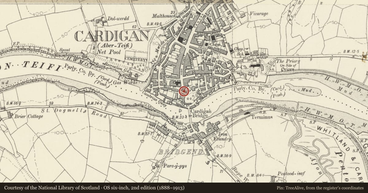 Ordnance Survey six-inch map, 2nd edition (1888–1913) covering the location of 1&2 Green Street, including attached stable and boundary wall, Cardigan, Ceredigion, with a pin at the register's coordinates