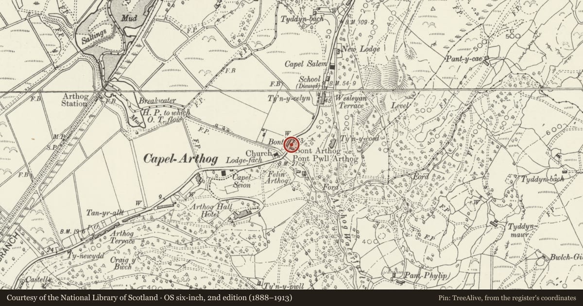Ordnance Survey six-inch map, 2nd edition (1888–1913) covering the location of Y Bont, Arthog, Gwynedd, with a pin at the register's coordinates