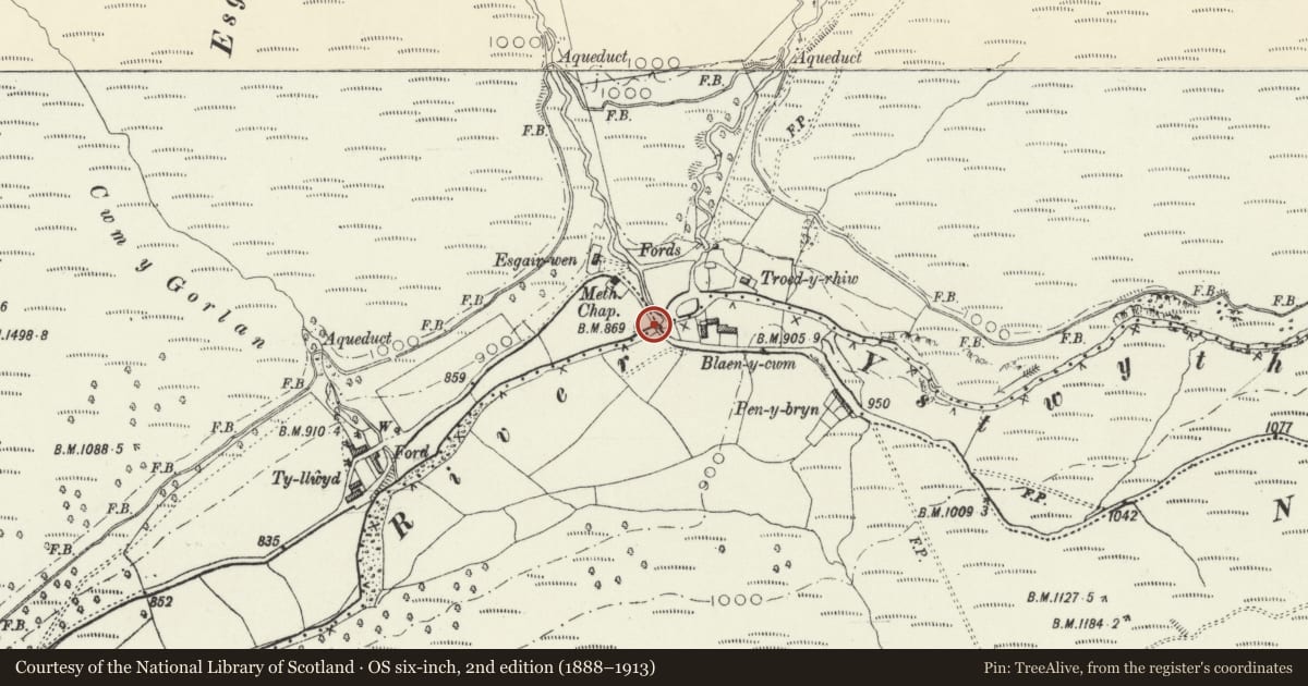 Ordnance Survey six-inch map, 2nd edition (1888–1913) covering the location of Pont Blaen (partly in the Pontarfynach community), Ysbyty Ystwyth, Ceredigion, with a pin at the register's coordinates