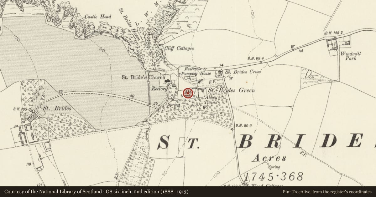 Ordnance Survey six-inch map, 2nd edition (1888–1913) covering the location of Gateway and walls to "The Abbey", Marloes and St. Brides, Pembrokeshire, with a pin at the register's coordinates