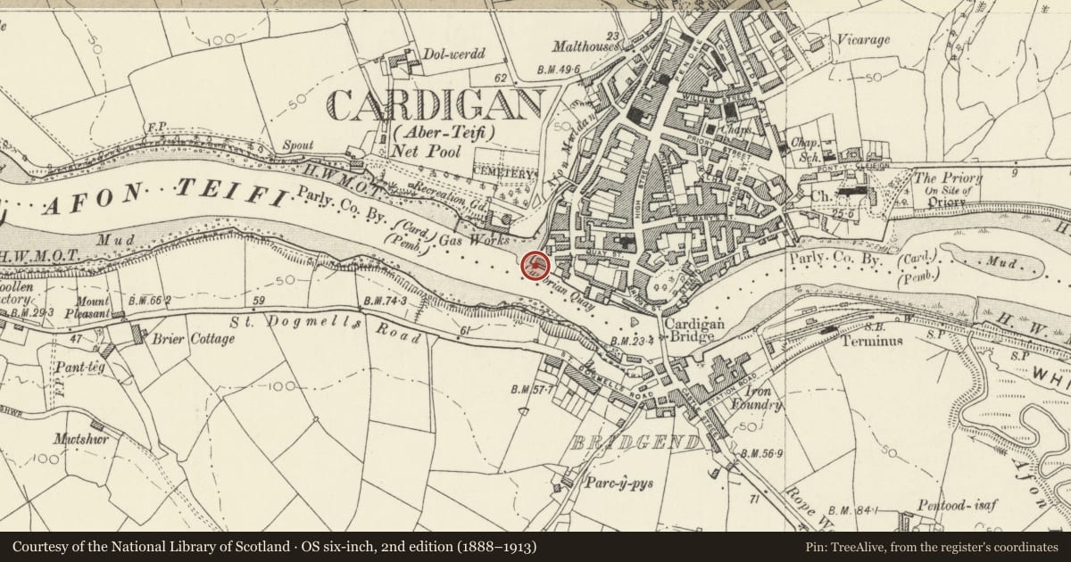 Ordnance Survey six-inch map, 2nd edition (1888–1913) covering the location of Quay Walls, Cardigan, Ceredigion, with a pin at the register's coordinates