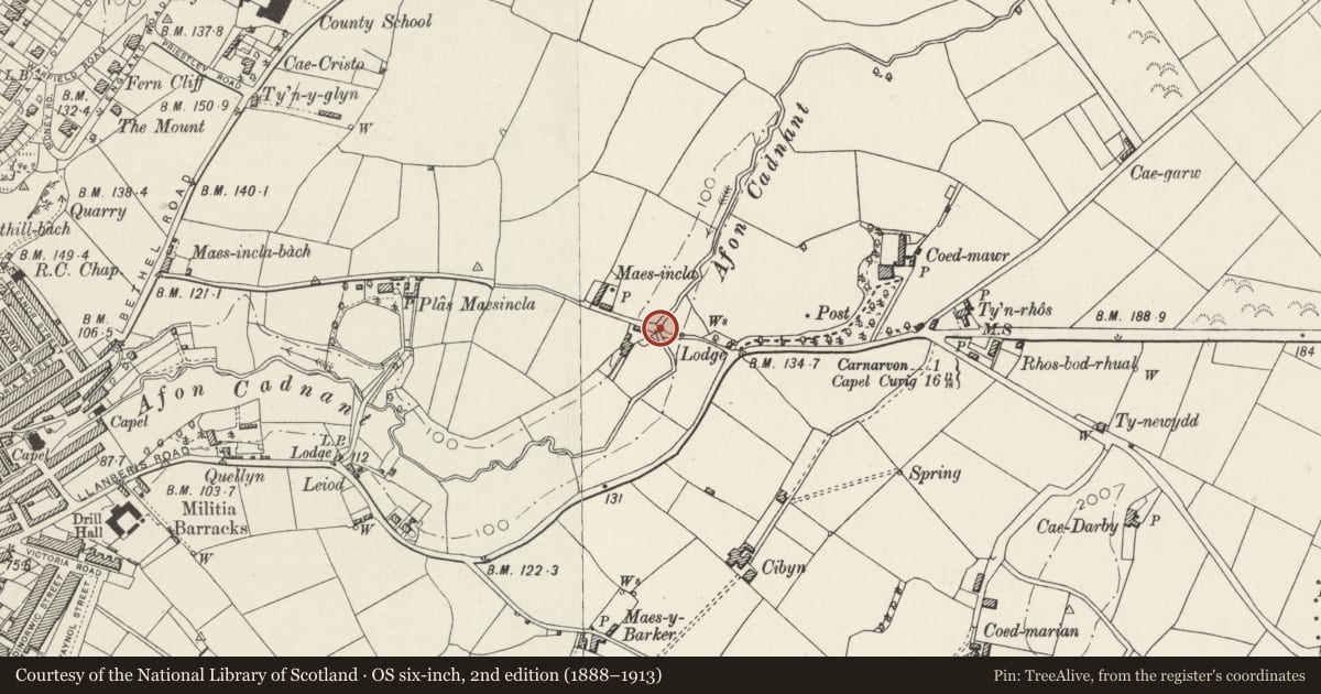 Ordnance Survey six-inch map, 2nd edition (1888–1913) covering the location of Stone Bridge over Afon Cadnant, Caernarfon, Gwynedd, with a pin at the register's coordinates