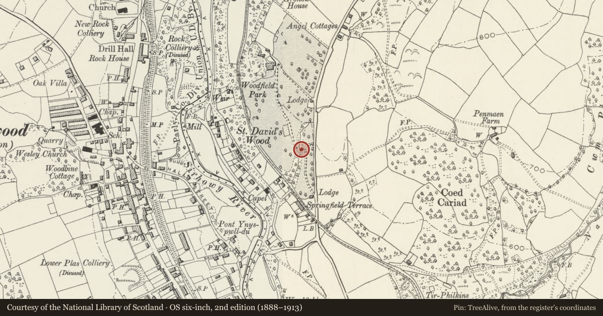 Ordnance Survey six-inch map, 2nd edition (1888–1913) covering the location of Iron Bridge in grounds of Woodfield Park, Penmaen, Caerphilly, with a pin at the register's coordinates