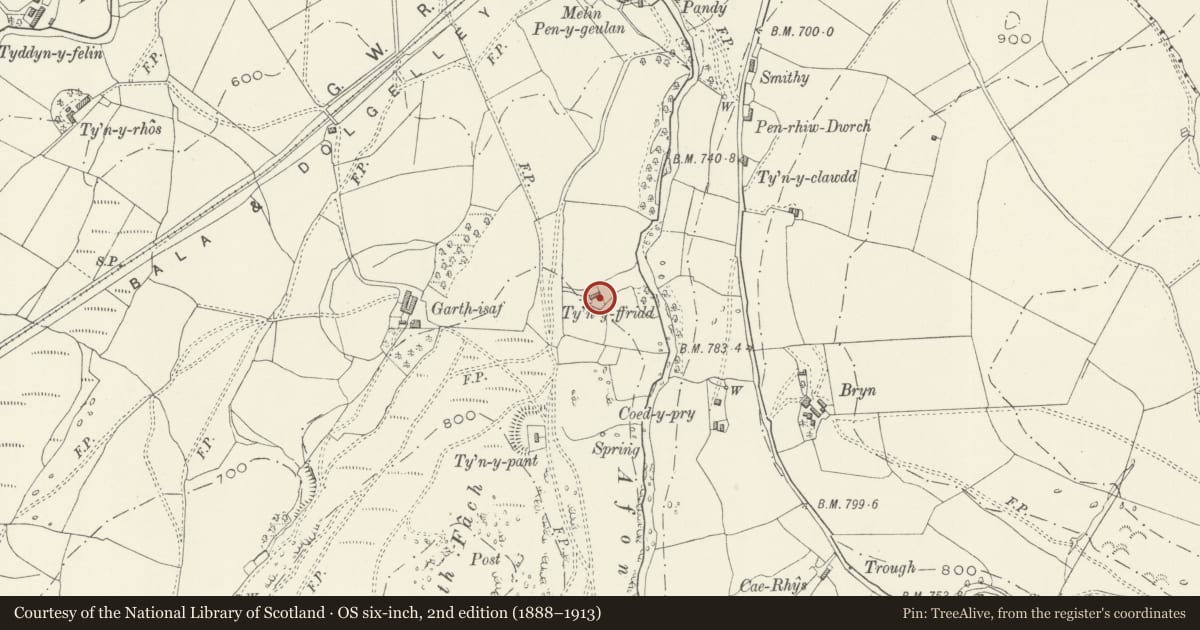 Ordnance Survey six-inch map, 2nd edition (1888–1913) covering the location of Ty'n y Ffridd, Llanuwchllyn, Gwynedd, with a pin at the register's coordinates