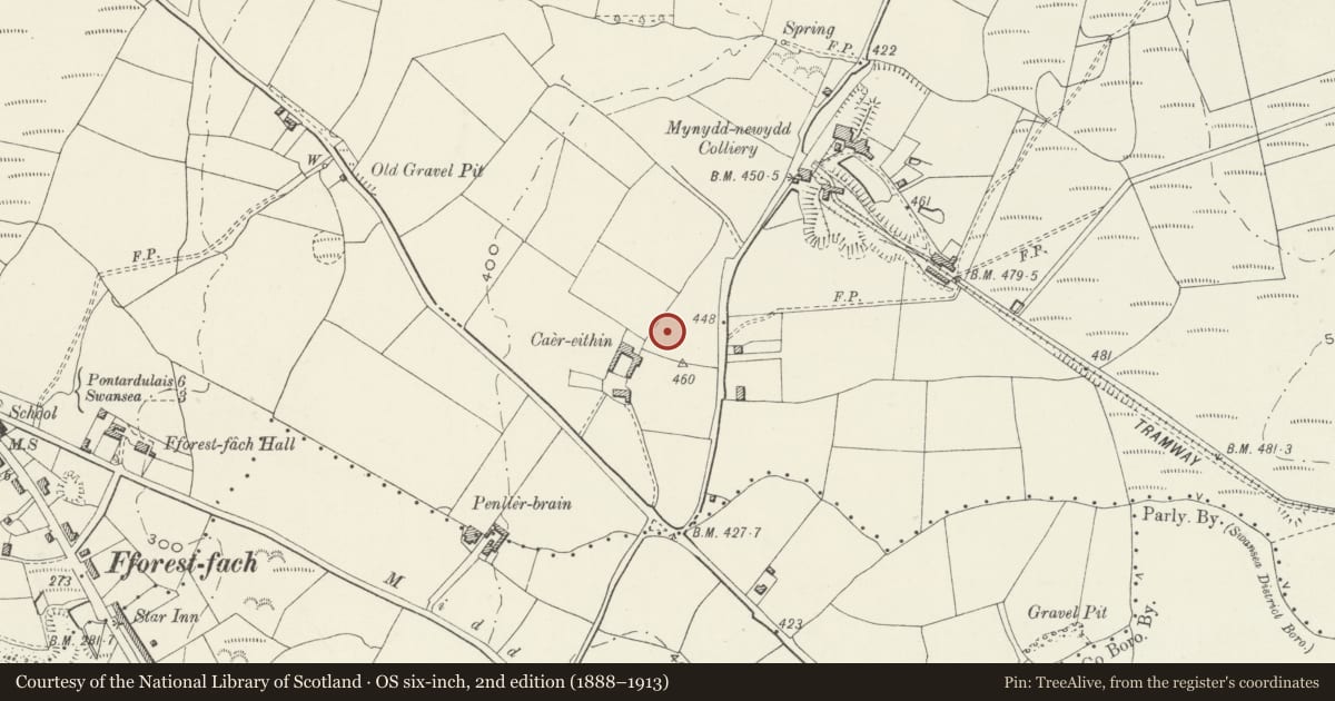 Ordnance Survey six-inch map, 2nd edition (1888–1913) covering the location of Church of St Teilo, Penderry, Swansea, with a pin at the register's coordinates