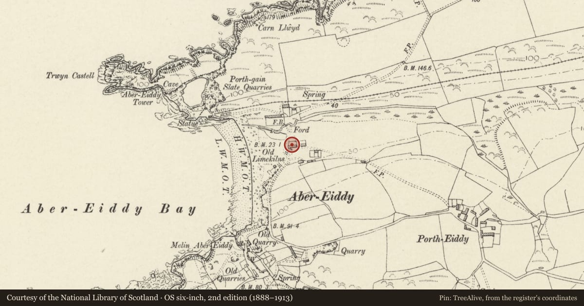 Ordnance Survey six-inch map, 2nd edition (1888–1913) covering the location of Swn-y-mor (previously listed as unoccupied cottage between beach cottage and the villa) Abereidy, Llanrhian, Pembrokeshire, with a pin at the register's coordinates