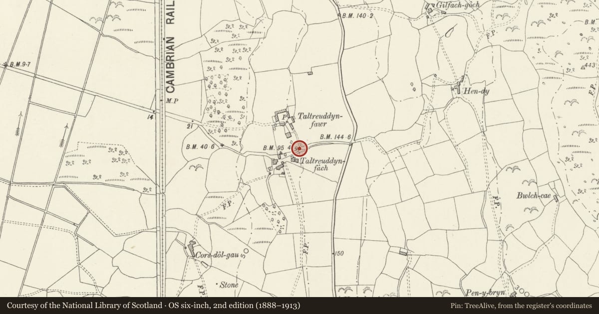 Ordnance Survey six-inch map, 2nd edition (1888–1913) covering the location of Gate piers, gates and boundary walls at Taltreuddyn-Fawr, Dyffryn Ardudwy, Gwynedd, with a pin at the register's coordinates