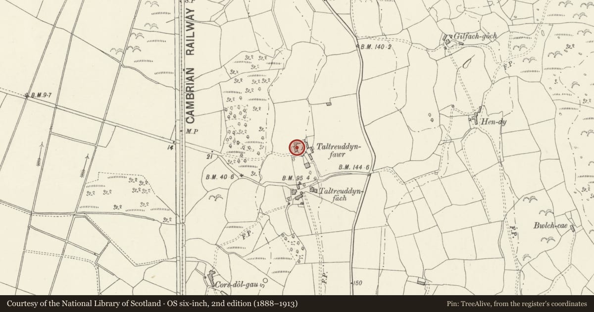 Ordnance Survey six-inch map, 2nd edition (1888–1913) covering the location of Haybarn range at Taltreuddyn-Fawr, Dyffryn Ardudwy, Gwynedd, with a pin at the register's coordinates