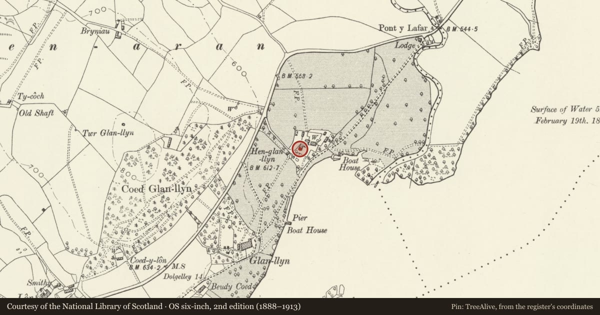 Ordnance Survey six-inch map, 2nd edition (1888–1913) covering the location of Farm buildings at Glanllyn Farm, Llanuwchllyn, Gwynedd, with a pin at the register's coordinates