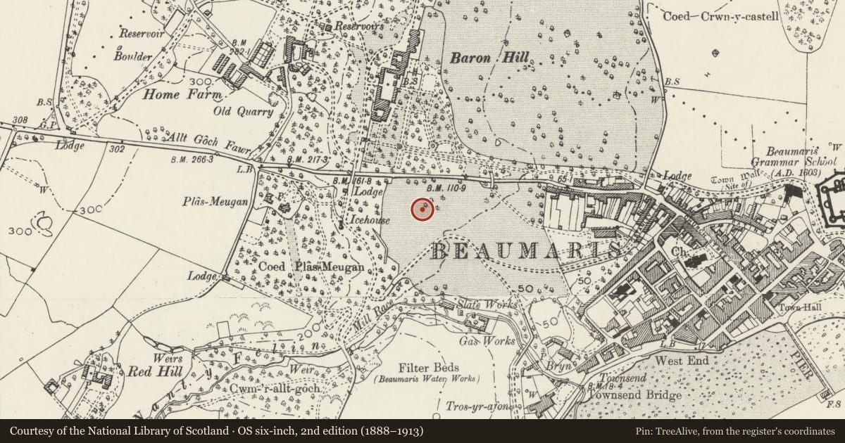 Ordnance Survey six-inch map, 2nd edition (1888–1913) covering the location of Ysgol Gynradd Beaumaris Primary School including attached range to right, Isle of Anglesey, with a pin at the register's coordinates