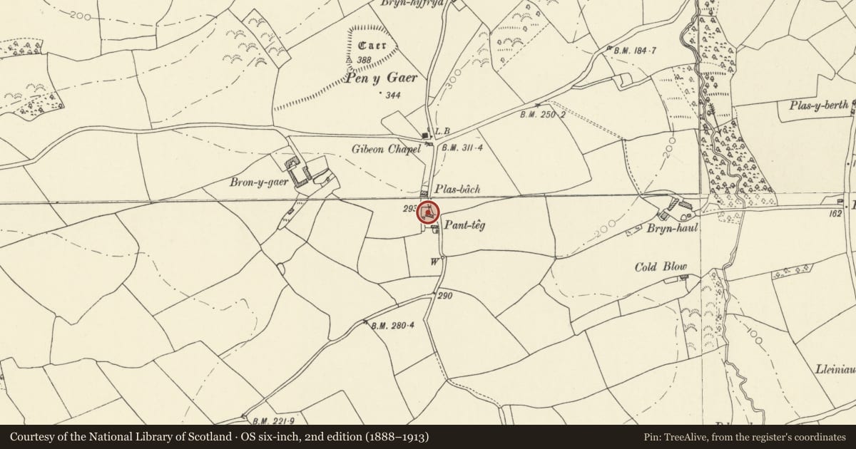Ordnance Survey six-inch map, 2nd edition (1888–1913) covering the location of Panteg, Meidrim, Carmarthenshire, with a pin at the register's coordinates