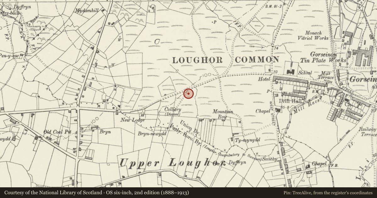 Ordnance Survey six-inch map, 2nd edition (1888–1913) covering the location of Catholic Church of the Blessed Sacrament, Gorseinon, Swansea, with a pin at the register's coordinates