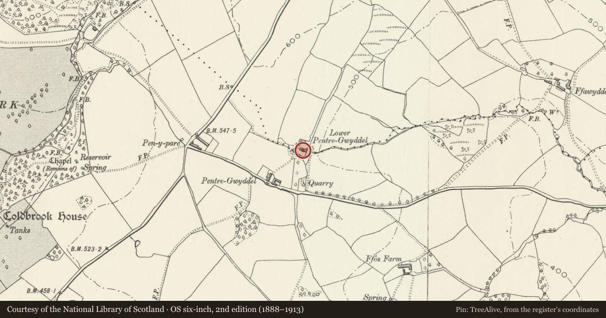 Ordnance Survey six-inch map, 2nd edition (1888–1913) covering the location of Lower Pentre Gwyddel, Gobion Fawr, Monmouthshire, with a pin at the register's coordinates