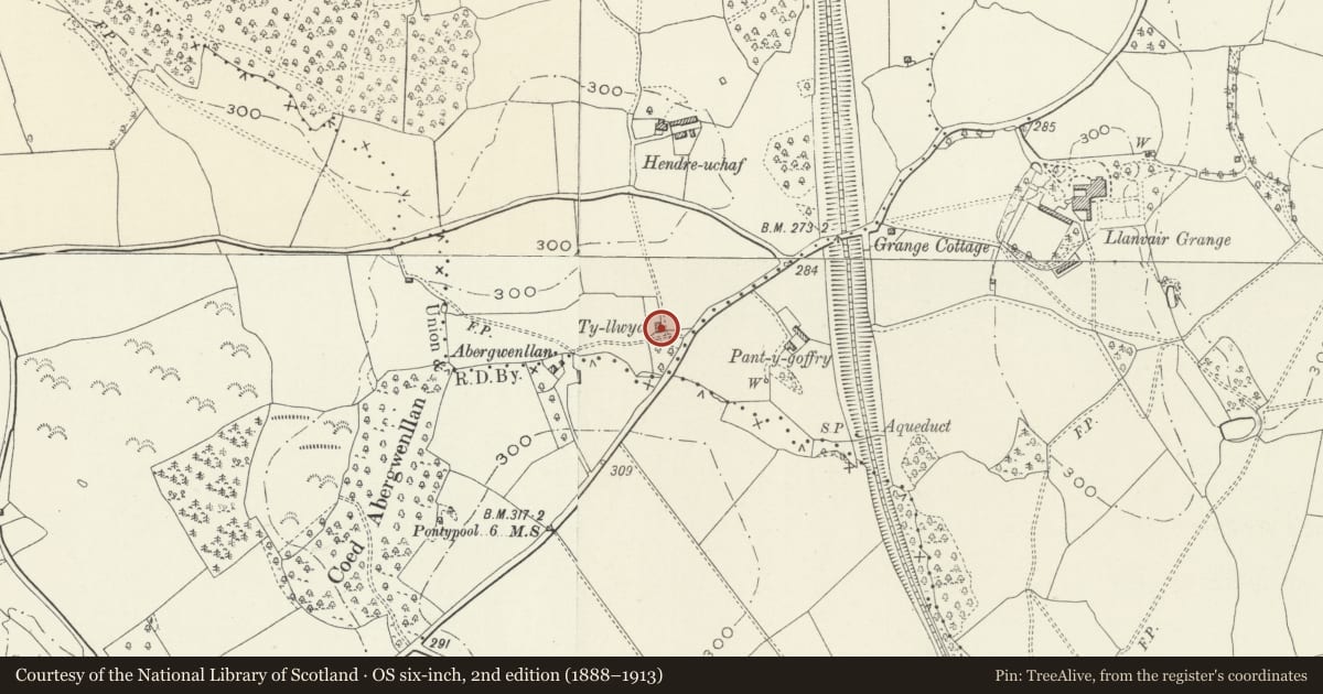 Ordnance Survey six-inch map, 2nd edition (1888–1913) covering the location of Ty Llwyd, Goetre Fawr, Monmouthshire, with a pin at the register's coordinates