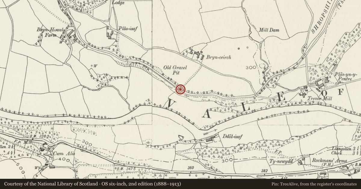 Ordnance Survey six-inch map, 2nd edition (1888–1913) covering the location of Bridge No. 36 over Llangollen canal near Plas-yn-pentre, Denbighshire, with a pin at the register's coordinates