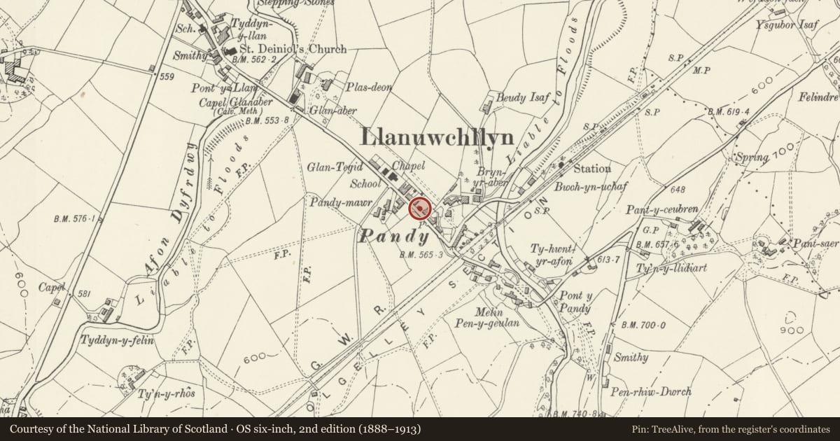 Ordnance Survey six-inch map, 2nd edition (1888–1913) covering the location of O.M.Edwards Memorial Gateway, Llanuwchllyn, Gwynedd, with a pin at the register's coordinates