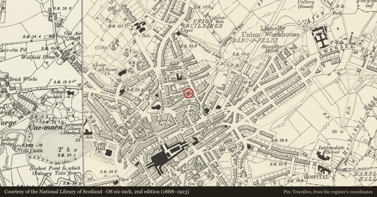Ordnance Survey six-inch map, 2nd edition (1888–1913) covering the location of Maltings at Former Buckley's Brewery, Llanelli, Carmarthenshire, with a pin at the register's coordinates