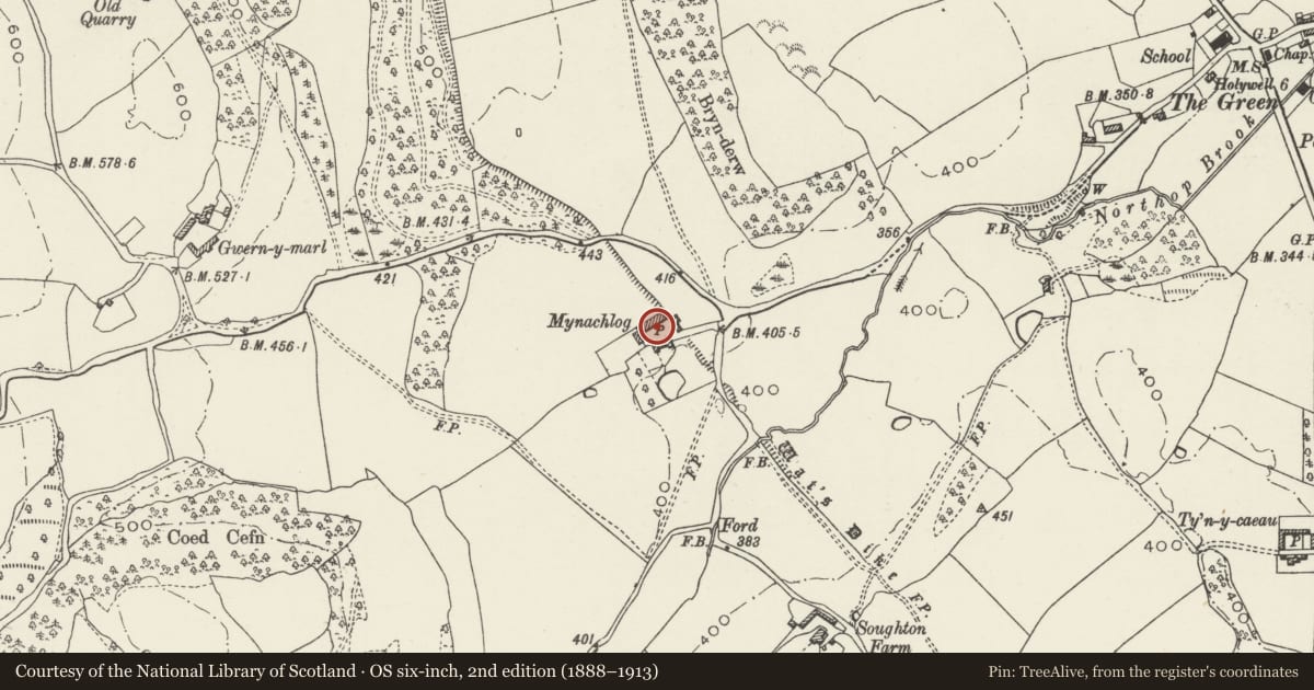 Ordnance Survey six-inch map, 2nd edition (1888–1913) covering the location of L-plan farm range at Mynachlog, Northop, Flintshire, with a pin at the register's coordinates