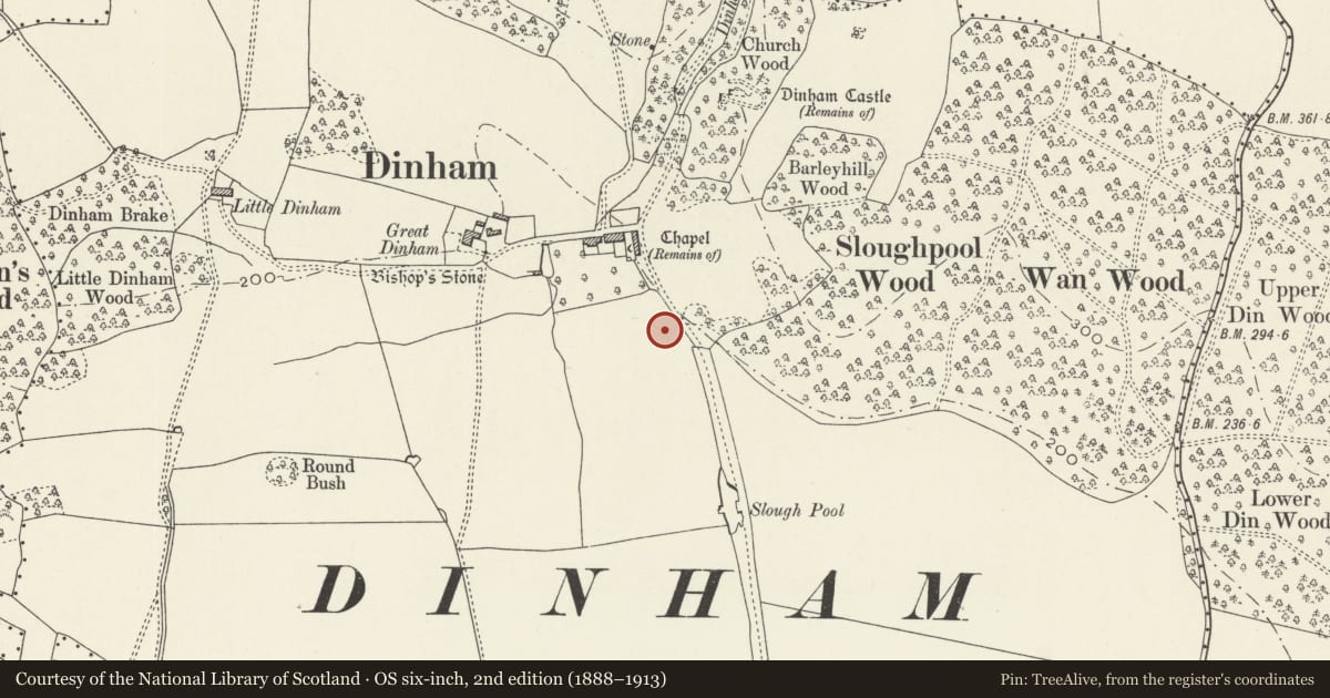 Ordnance Survey six-inch map, 2nd edition (1888–1913) covering the location of Building No 316 (Hot, Cold & Ambient Building), Caerwent, Monmouthshire, with a pin at the register's coordinates