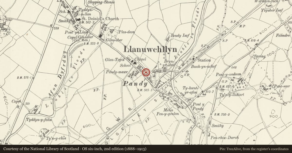 Ordnance Survey six-inch map, 2nd edition (1888–1913) covering the location of Grave of O.M. Edwards, Llanuwchllyn, Gwynedd, with a pin at the register's coordinates