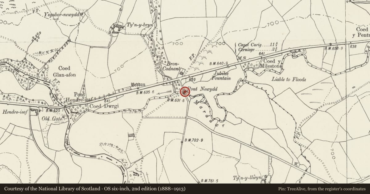 Ordnance Survey six-inch map, 2nd edition (1888–1913) covering the location of Causeway with two bridges at Pont Newydd (partly in Pentrefoelas community), Ysbyty Ifan, Conwy, with a pin at the register's coordinates