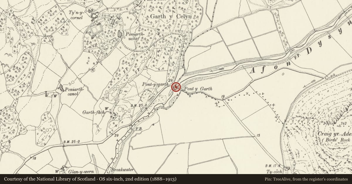 Ordnance Survey six-inch map, 2nd edition (1888–1913) covering the location of Pont y Garth (partly in Llanegryn community), Gwynedd, with a pin at the register's coordinates