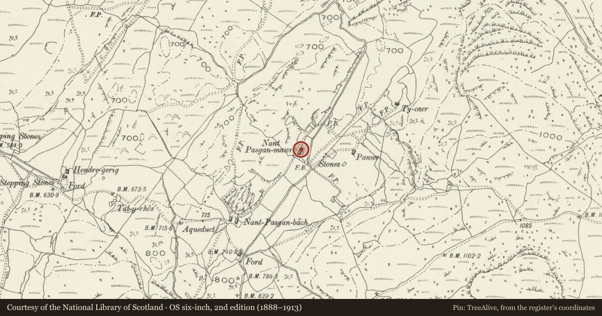 Ordnance Survey six-inch map, 2nd edition (1888–1913) covering the location of Nant Pasgan-mawr, Talsarnau, Gwynedd, with a pin at the register's coordinates