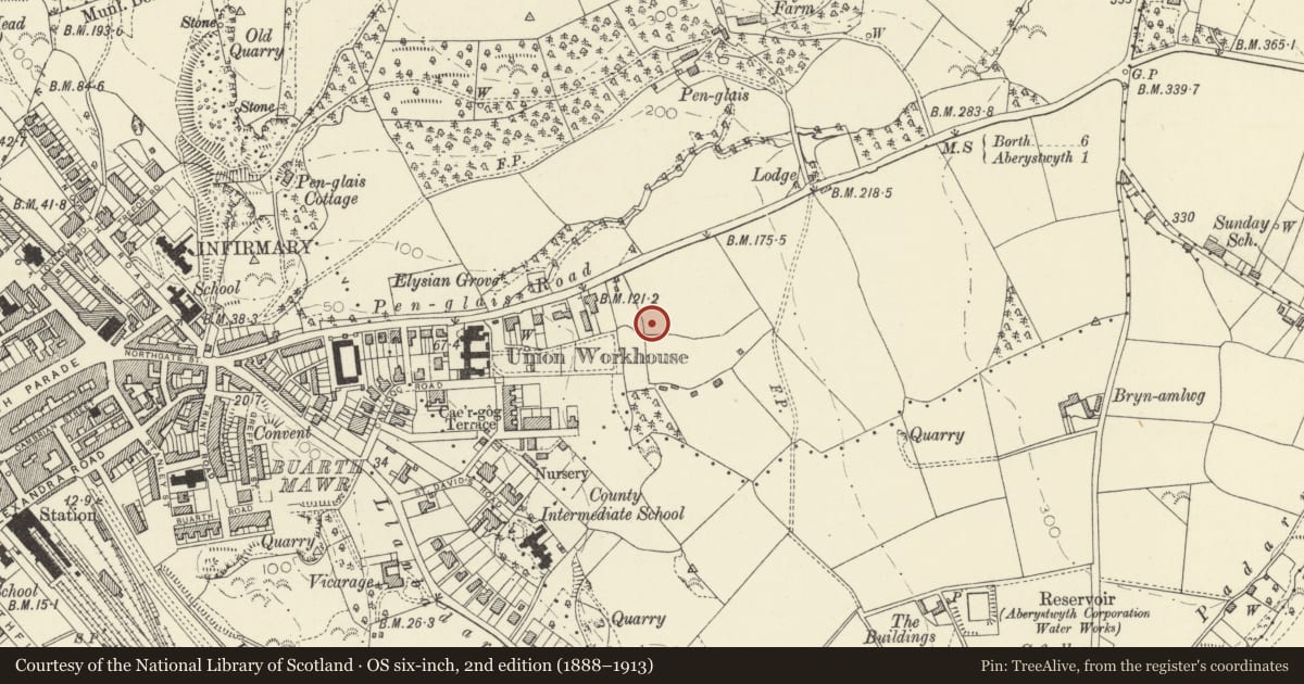 Ordnance Survey six-inch map, 2nd edition (1888–1913) covering the location of Pantycelyn, Aberystwyth University, Ceredigion, with a pin at the register's coordinates