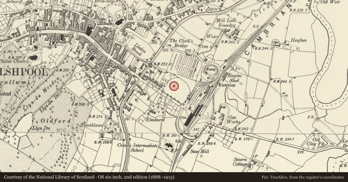 Ordnance Survey six-inch map, 2nd edition (1888–1913) covering the location of Powys County Council Offices, Welshpool, Powys, with a pin at the register's coordinates