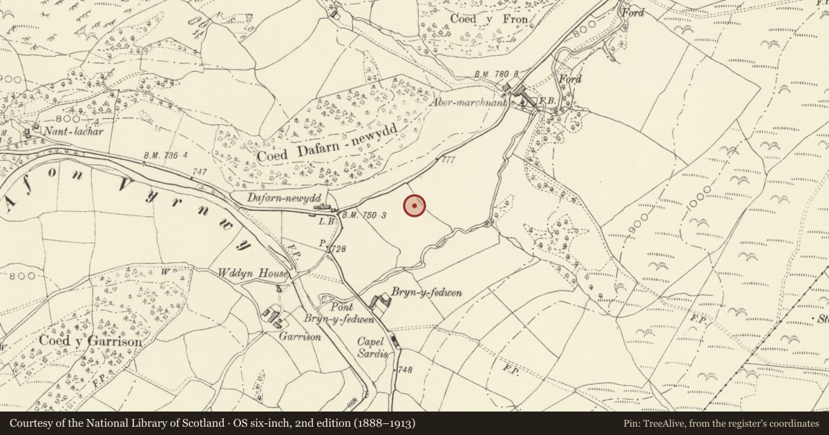 Ordnance Survey six-inch map, 2nd edition (1888–1913) covering the location of Ysgol Efyrnwy, Llanwddyn, Powys, with a pin at the register's coordinates