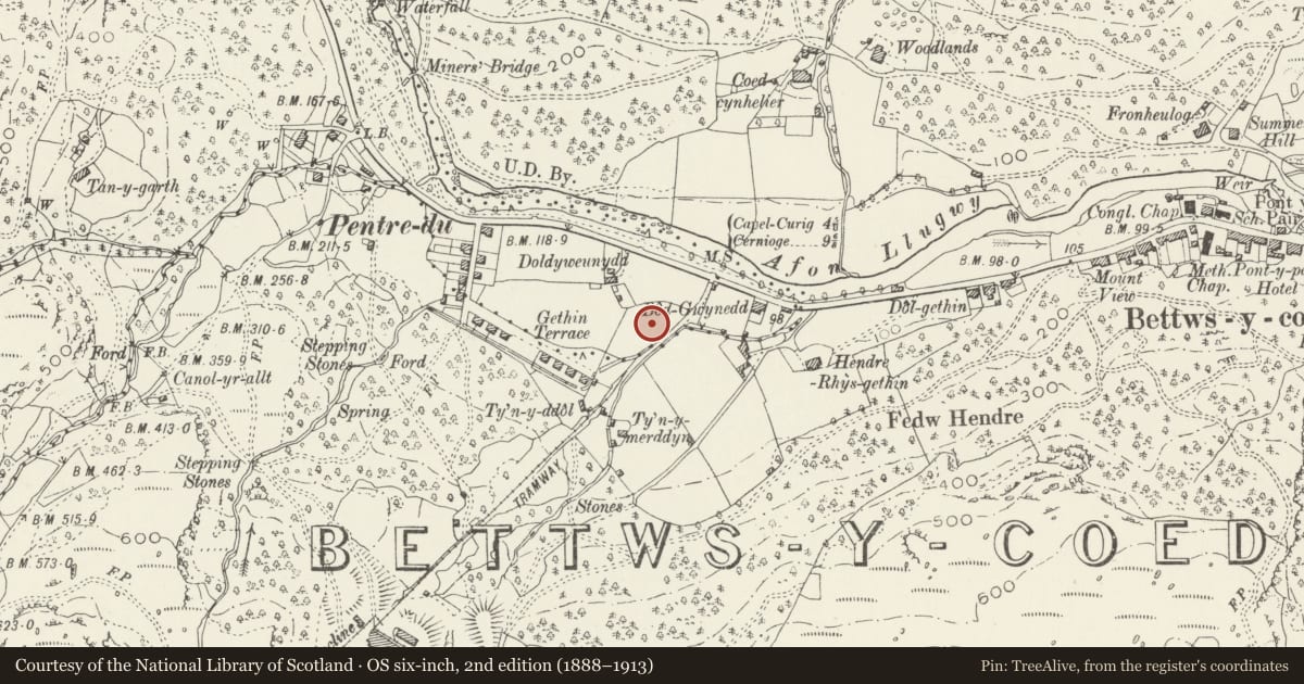 Ordnance Survey six-inch map, 2nd edition (1888–1913) covering the location of Ysgol Gynradd Betws-y-Coed, Conwy, with a pin at the register's coordinates