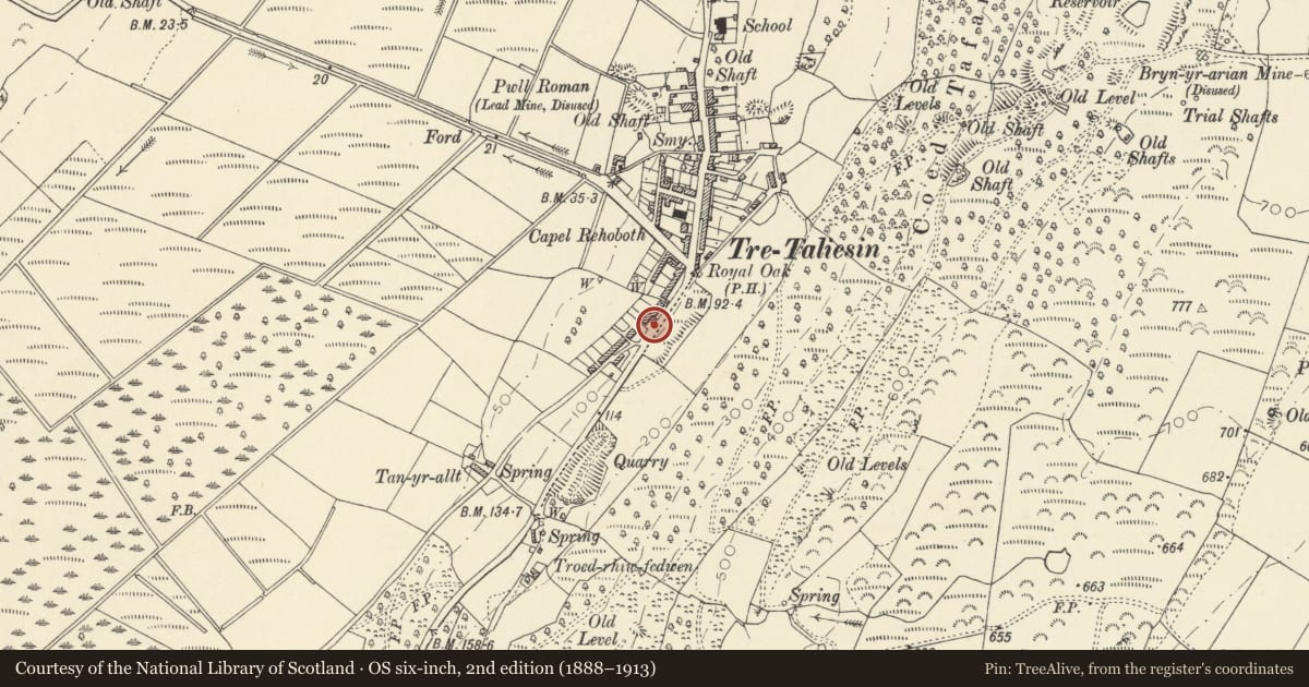 Ordnance Survey six-inch map, 2nd edition (1888–1913) covering the location of Former Village Well, Llangynfelyn, Ceredigion, with a pin at the register's coordinates