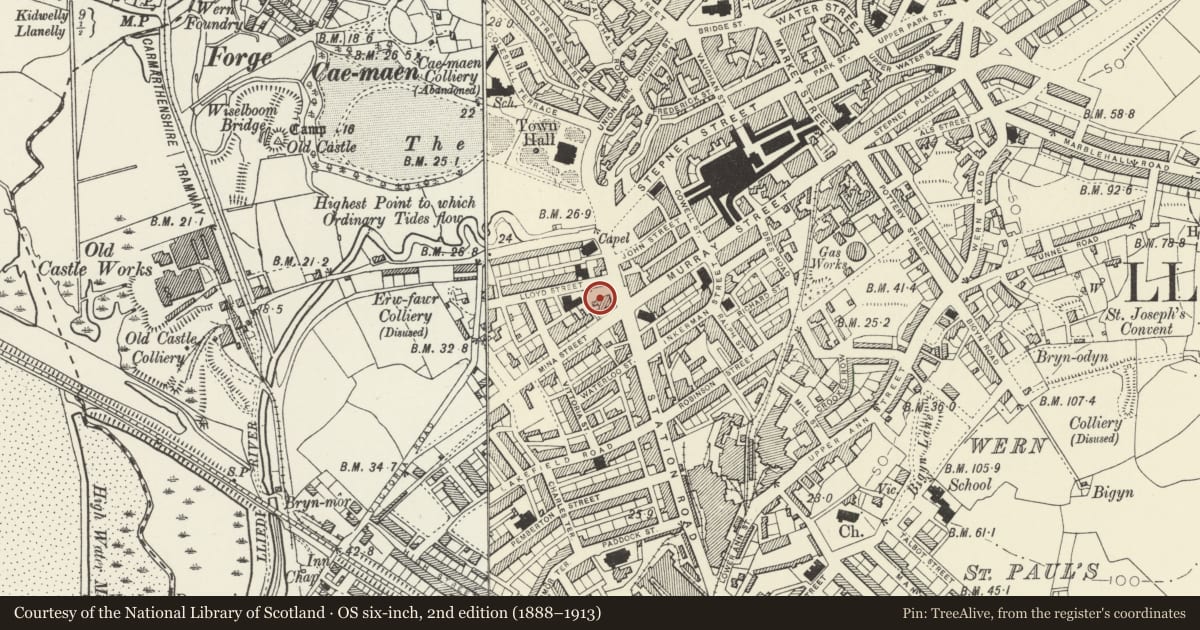 Ordnance Survey six-inch map, 2nd edition (1888–1913) covering the location of Theatr Elli, Llanelli, Carmarthenshire, with a pin at the register's coordinates