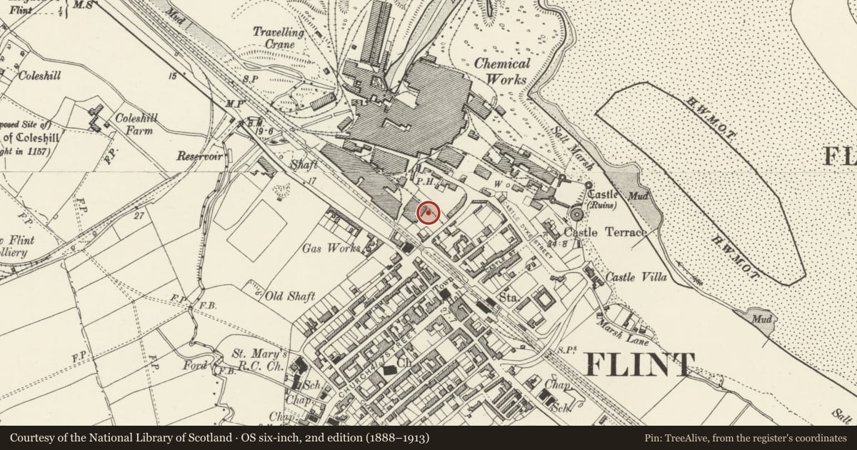 Ordnance Survey six-inch map, 2nd edition (1888–1913) covering the location of Unit 7, Flint, Flintshire, with a pin at the register's coordinates