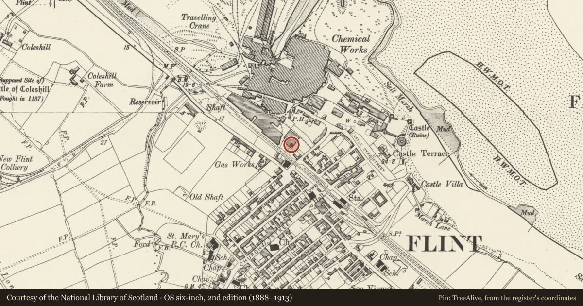 Ordnance Survey six-inch map, 2nd edition (1888–1913) covering the location of Unit 2, Flint, Flintshire, with a pin at the register's coordinates