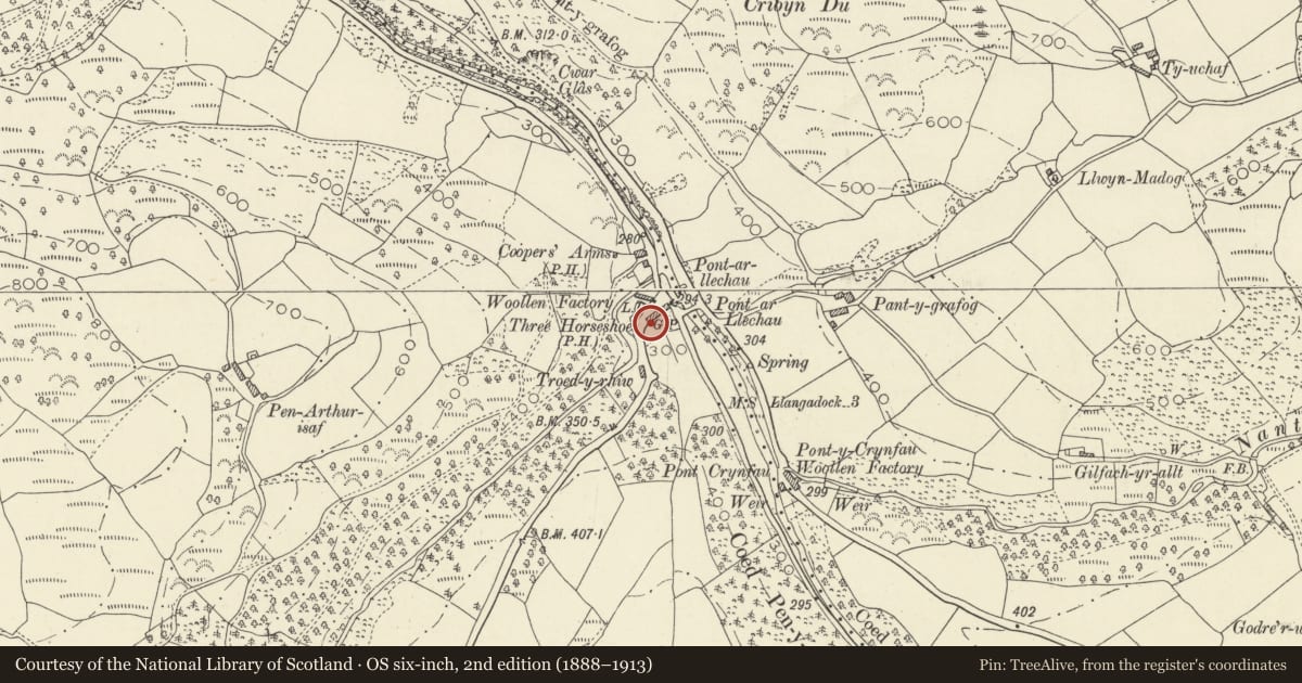 Ordnance Survey six-inch map, 2nd edition (1888–1913) covering the location of Pound near Three Horse Shoes, Llangadog, Carmarthenshire, with a pin at the register's coordinates
