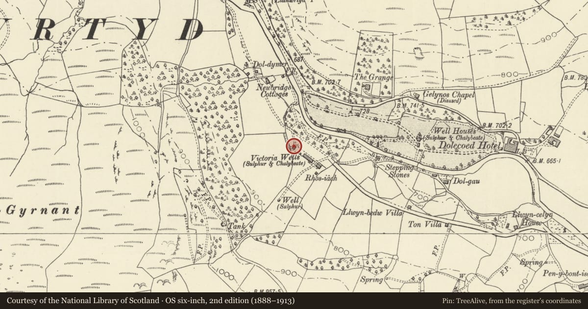 Ordnance Survey six-inch map, 2nd edition (1888–1913) covering the location of Former Pumphouse at Victoria Wells, Llanwrtyd Wells, Powys, with a pin at the register's coordinates
